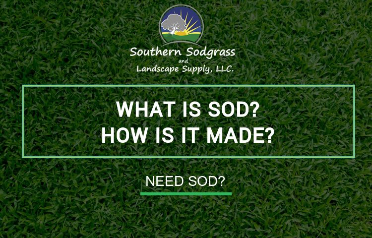 What is sod?
