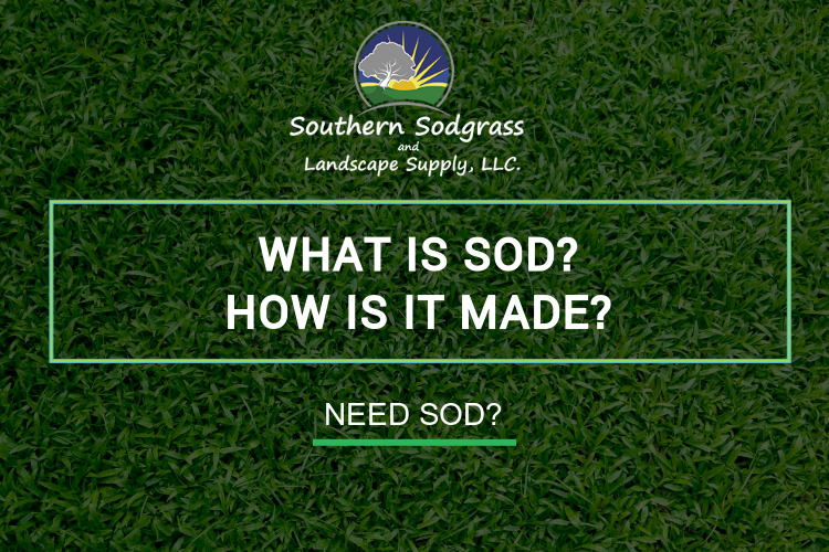 What is sod?